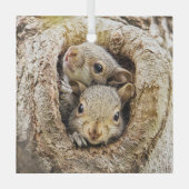 最も可愛い赤ん坊の動物 | Curiousベビーリス ガラスオーナメント (正面)