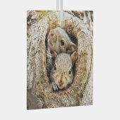 最も可愛い赤ん坊の動物 | Curiousベビーリス ガラスオーナメント (正面右)