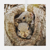 最も可愛い赤ん坊の動物 | Curiousベビーリス ガラスオーナメント (裏面)