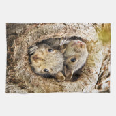 最も可愛い赤ん坊の動物 | Curiousベビーリス キッチンタオル (横)