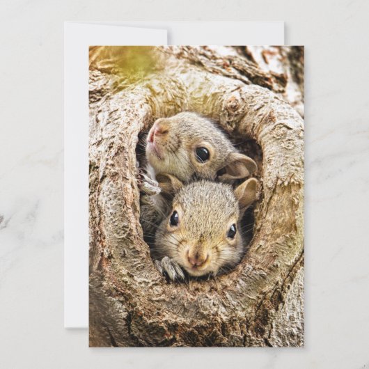 最も可愛い赤ん坊の動物 | Curiousベビーリス サンキューカード (正面)