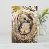 最も可愛い赤ん坊の動物 | Curiousベビーリス サンキューカード (スタンド正面)