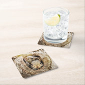 最も可愛い赤ん坊の動物 | Curiousベビーリス スクエアペーパーコースター (インサイチュ)