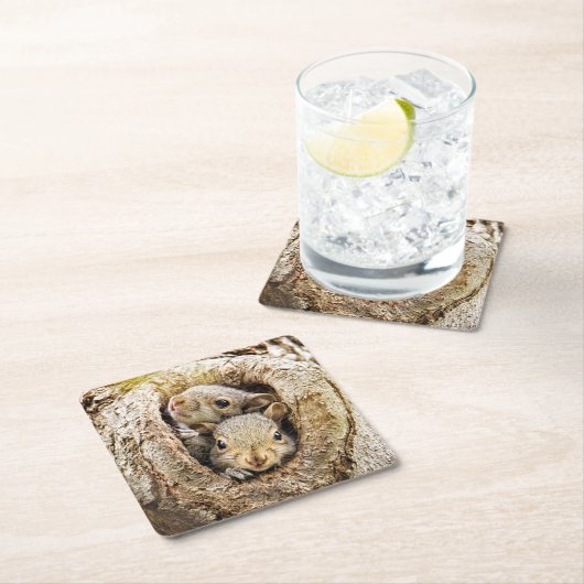 最も可愛い赤ん坊の動物 | Curiousベビーリス スクエアペーパーコースター (インサイチュ)
