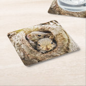 最も可愛い赤ん坊の動物 | Curiousベビーリス スクエアペーパーコースター (アングル)