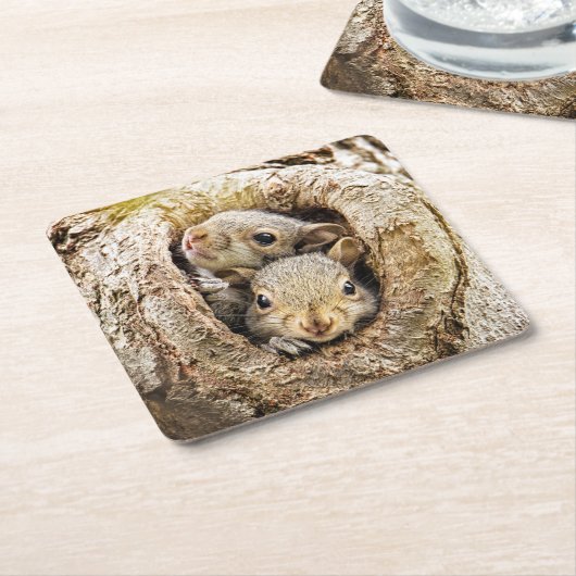最も可愛い赤ん坊の動物 | Curiousベビーリス スクエアペーパーコースター (アングル)