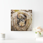 最も可愛い赤ん坊の動物 | Curiousベビーリス スクエア壁時計 (ホーム)