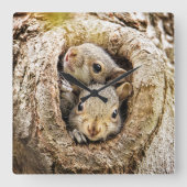 最も可愛い赤ん坊の動物 | Curiousベビーリス スクエア壁時計 (正面)