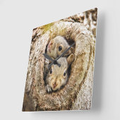 最も可愛い赤ん坊の動物 | Curiousベビーリス スクエア壁時計 (傾斜)