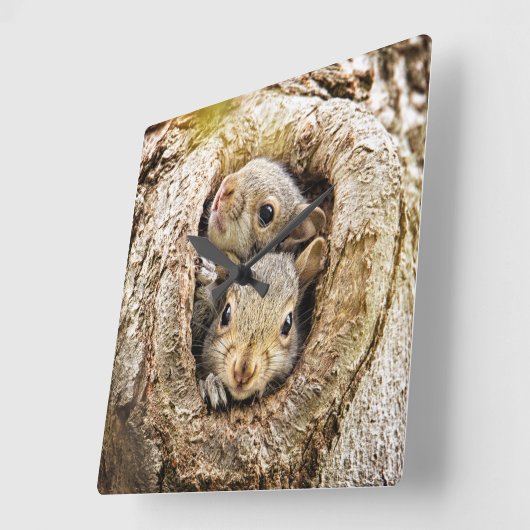 最も可愛い赤ん坊の動物 | Curiousベビーリス スクエア壁時計 (傾斜)