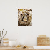 最も可愛い赤ん坊の動物 | Curiousベビーリス ポスター (キッチン)