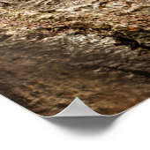 最も可愛い赤ん坊の動物 | Curiousベビーリス ポスター (角)