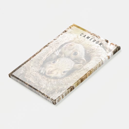 最も可愛い赤ん坊の動物 | Curiousベビーリス ポストイット (アングル)