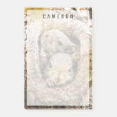 最も可愛い赤ん坊の動物 | Curiousベビーリス ポストイット (正面)