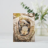 最も可愛い赤ん坊の動物 | Curiousベビーリス ポストカード (スタンド正面)