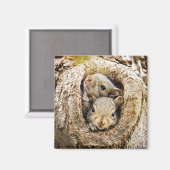 最も可愛い赤ん坊の動物 | Curiousベビーリス マグネット (正面/裏面)