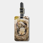 最も可愛い赤ん坊の動物 | Curiousベビーリス ラゲッジタグ (正面縦)