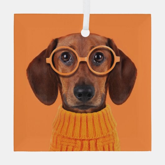 最も可愛い赤ん坊の動物 | Dachshundオレンジセーター ガラスオーナメント (裏面)