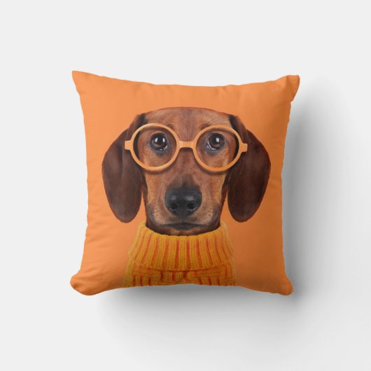 最も可愛い赤ん坊の動物 | Dachshundオレンジセーター クッション (正面)
