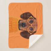 最も可愛い赤ん坊の動物 | Dachshundオレンジセーター シェルパブランケット (正面)