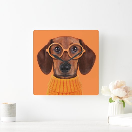 最も可愛い赤ん坊の動物 | Dachshundオレンジセーター スクエア壁時計 (ホーム)