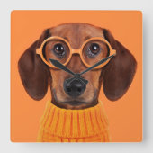 最も可愛い赤ん坊の動物 | Dachshundオレンジセーター スクエア壁時計 (正面)