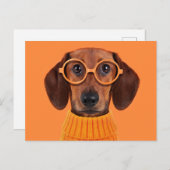 最も可愛い赤ん坊の動物 | Dachshundオレンジセーター ポストカード (正面/裏面)