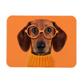 最も可愛い赤ん坊の動物 | Dachshundオレンジセーター マグネット (横)