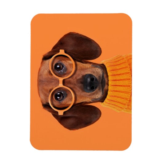 最も可愛い赤ん坊の動物 | Dachshundオレンジセーター マグネット (縦)