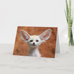 最も可愛い赤ん坊の動物 Fennecキツネアップ カード