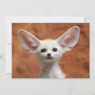 最も可愛い赤ん坊の動物 Fennecキツネアップ サンキューカード