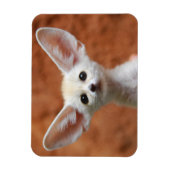 最も可愛い赤ん坊の動物 | Fennecキツネアップ マグネット (縦)