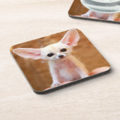 最も可愛い赤ん坊の動物 | Fennecキツネ コースター (左側)