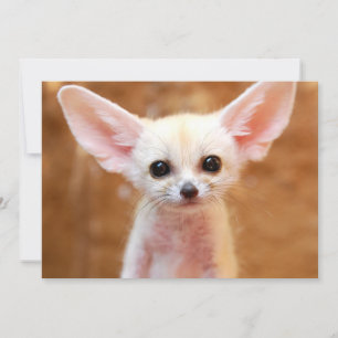 最も可愛い赤ん坊の動物 Fennecキツネ サンキューカード