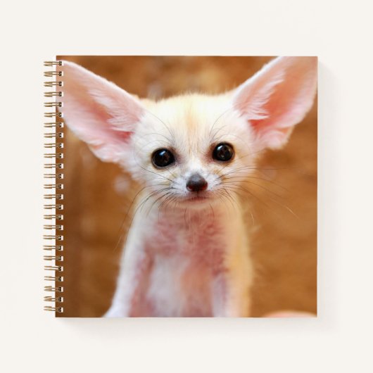 最も可愛い赤ん坊の動物 | Fennecキツネ ノートブック (正面)