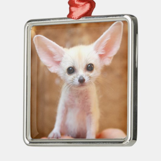 最も可愛い赤ん坊の動物 | Fennecキツネ メタルオーナメント (左)