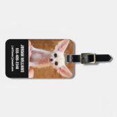 最も可愛い赤ん坊の動物 | Fennecキツネ ラゲッジタグ (正面横)