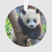 最も可愛い赤ん坊の動物 | Giant Panda Cub オーナメント (正面)