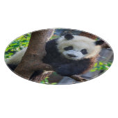 最も可愛い赤ん坊の動物 | Giant Panda Cub カッティングボード (角)