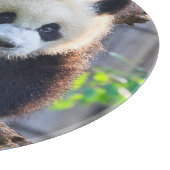 最も可愛い赤ん坊の動物 | Giant Panda Cub カッティングボード (角)