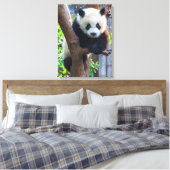 最も可愛い赤ん坊の動物 | Giant Panda Cub キャンバスプリント (インサイチュ (寝室))
