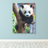 最も可愛い赤ん坊の動物 | Giant Panda Cub キャンバスプリント (インサイチュ (ウッドフロア))