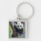 最も可愛い赤ん坊の動物 | Giant Panda Cub キーホルダー (正面)