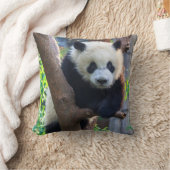 最も可愛い赤ん坊の動物 | Giant Panda Cub クッション (ブランケット)