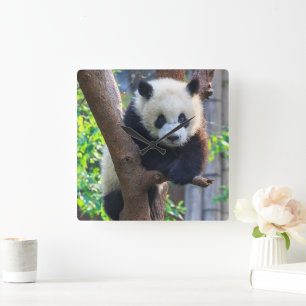 最も可愛い赤ん坊の動物 Giant Panda Cub スクエア壁時計