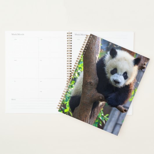 最も可愛い赤ん坊の動物 | Giant Panda Cub プランナー手帳 (ディスプレー)