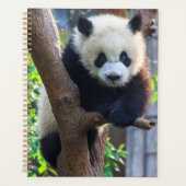 最も可愛い赤ん坊の動物 | Giant Panda Cub プランナー手帳 (正面)
