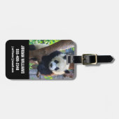 最も可愛い赤ん坊の動物 | Giant Panda Cub ラゲッジタグ (正面横)