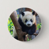 最も可愛い赤ん坊の動物 | Giant Panda Cub 缶バッジ (正面)
