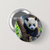最も可愛い赤ん坊の動物 | Giant Panda Cub 缶バッジ (正面&裏面)